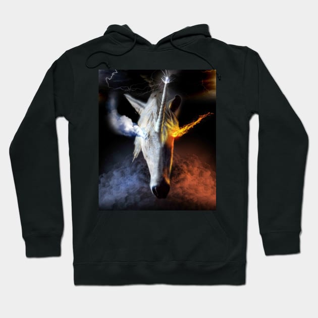 Fire And Ice Unicorn Hoodie by Random Galaxy